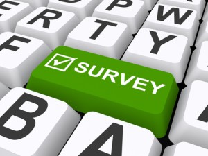 e-commerce-retailers-survey-300x225